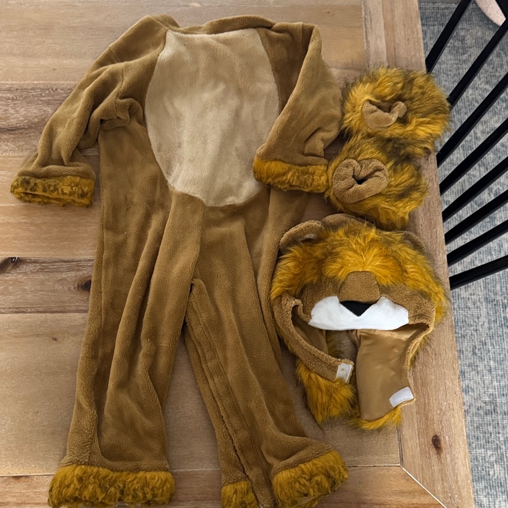 Lion Costume for Kids